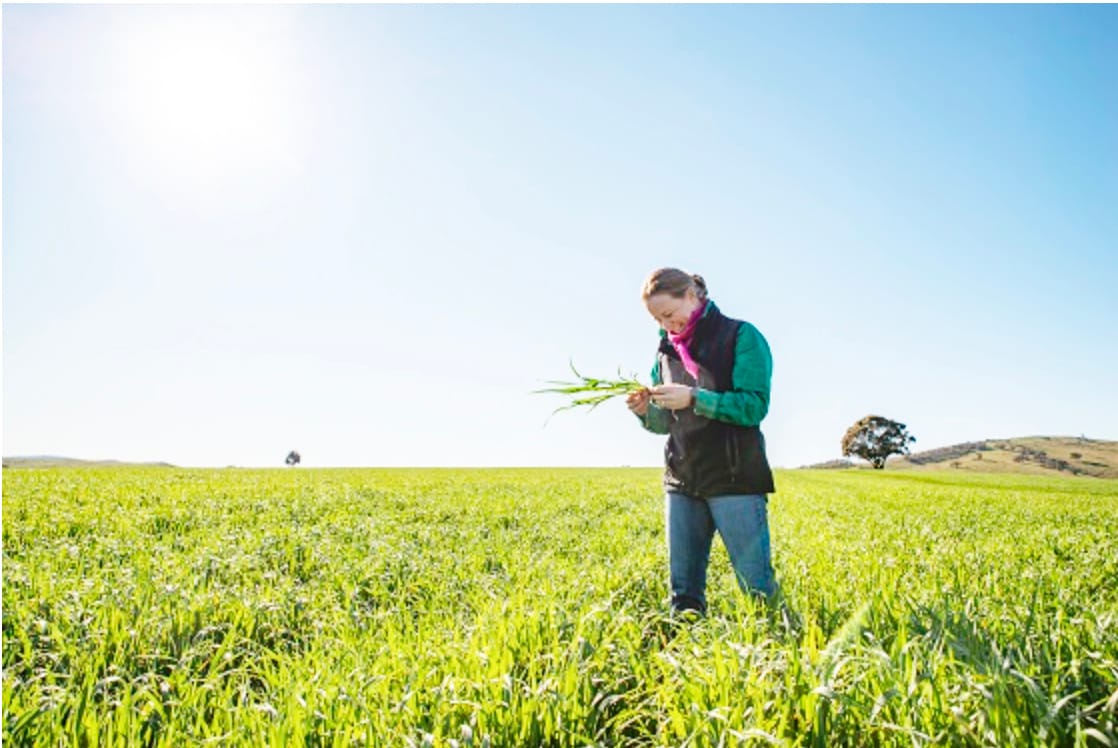 From Wimmera’s CMA — Weather Stations and Soil Moisture Probes