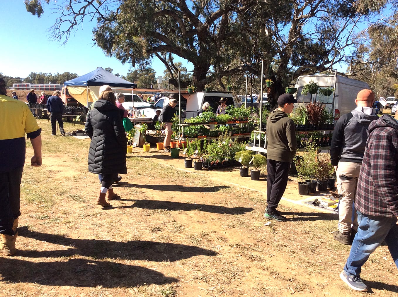 Charlton Lions Swap Meet is Coming Up