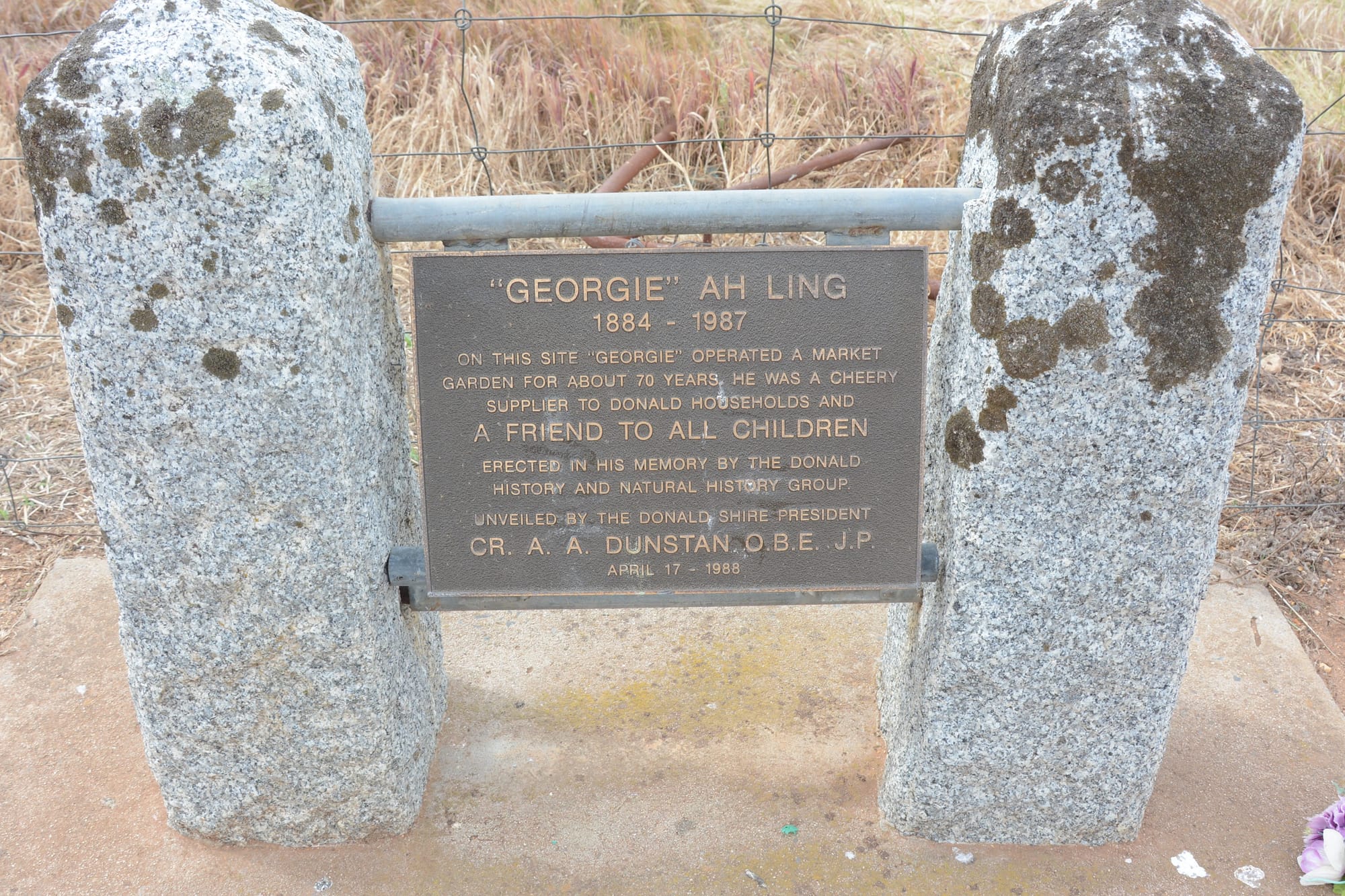 Fire Flattens the Home of “Georgie”