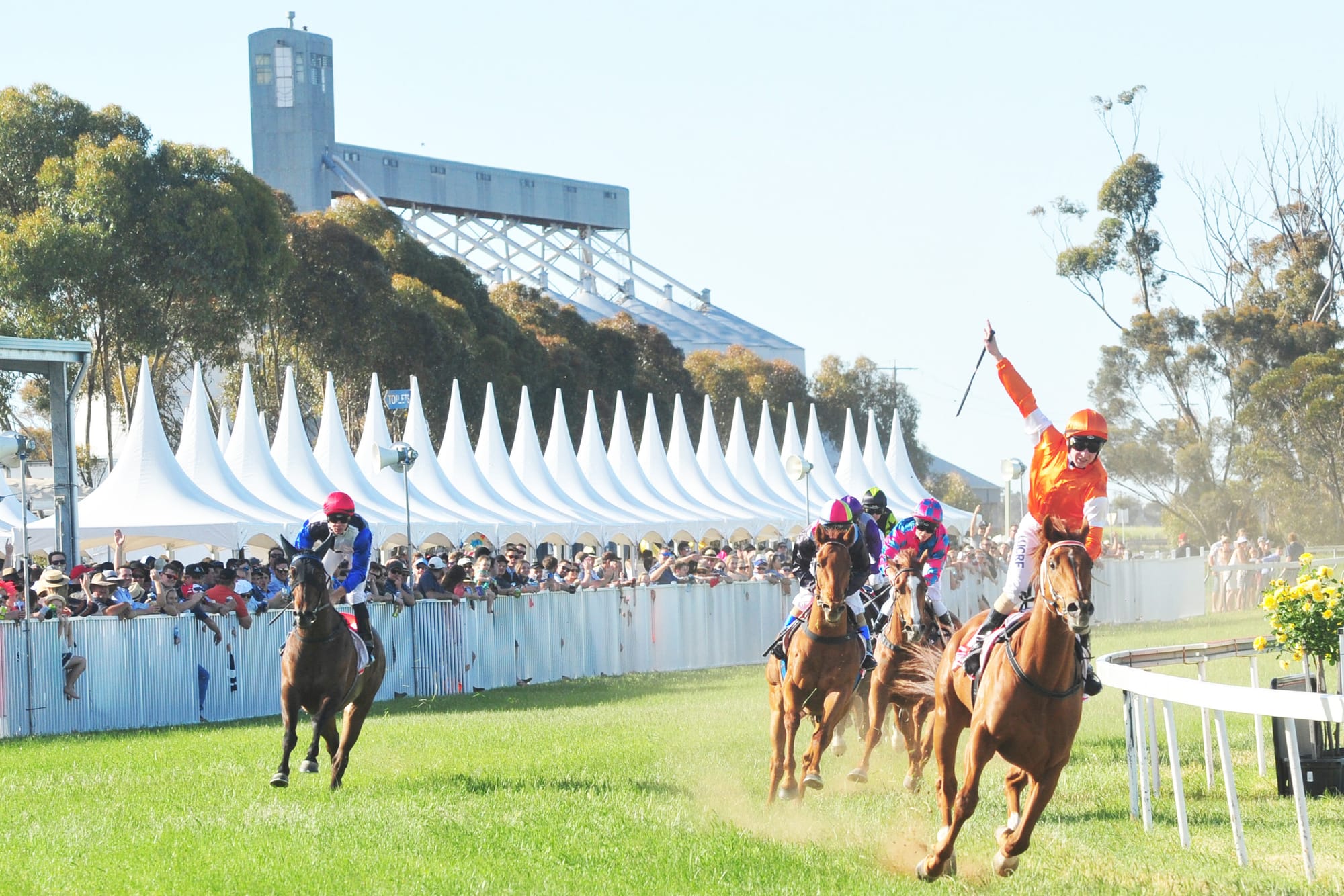 Wycheproof’s 2020 Cup Day “Scratched”