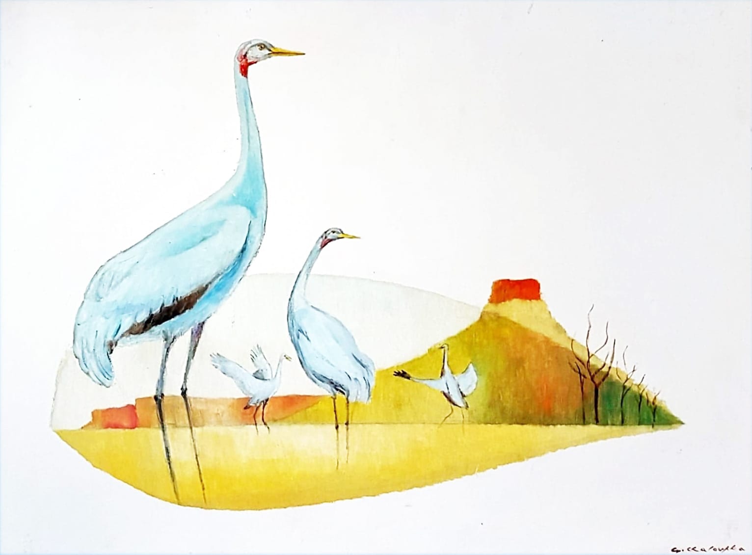 Book Review: Where the Brolgas Dance