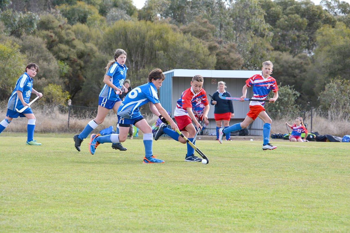 North-Central Hockey