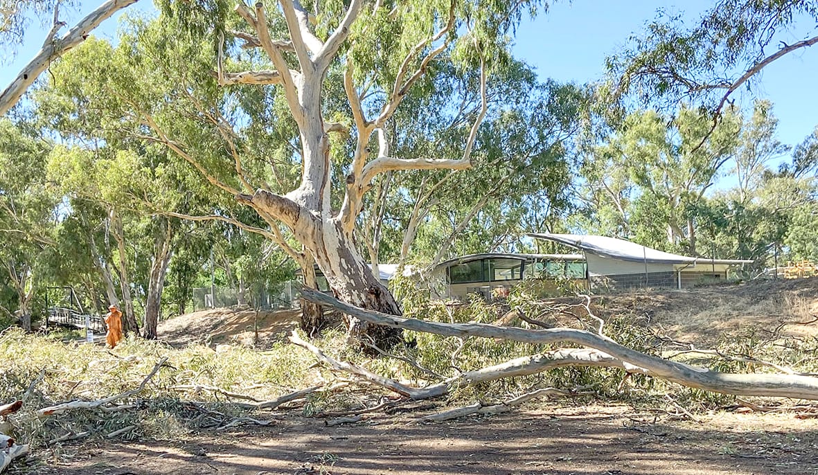 The area between the Charlton swimming pool and Gordon Park was a debris field of mangled tree branches and destruction following the storm. By last Friday this mess had all been cleared away.