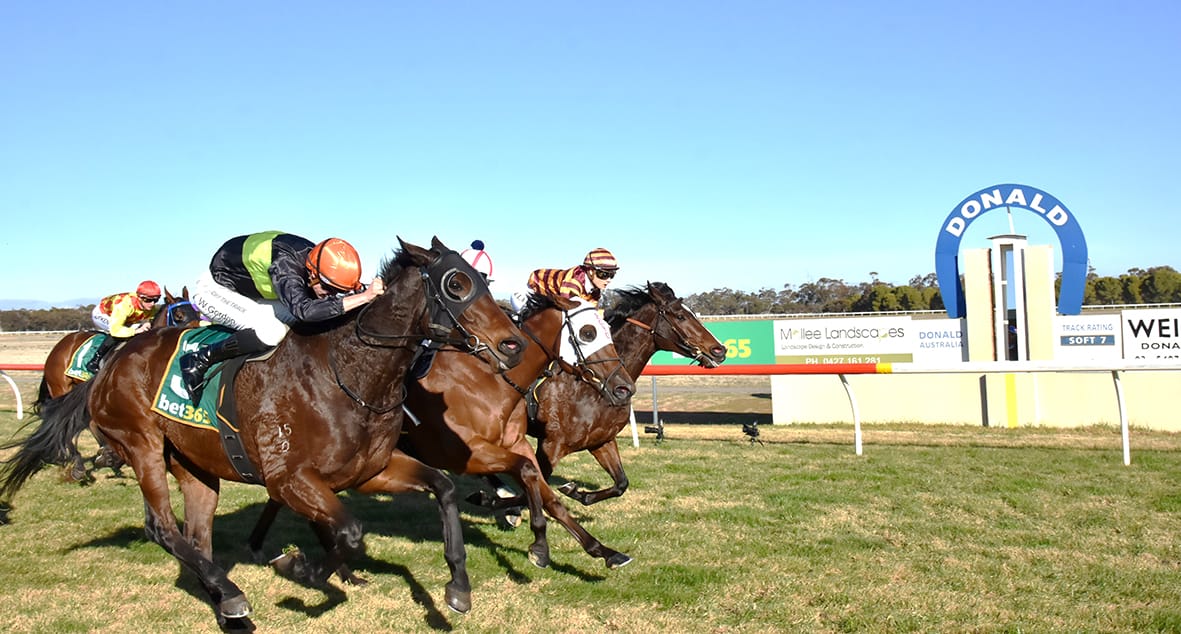 The closest finish of the day: On the outside, Naval Force, ridden by Will Gordon, defeats Quizlet (middle) ridden by Lucinda Boyd and inside, Cheeky Blinders, ridden by Ruby Lamont. This was Will Gordon’s fourth winner on the day; the winner was trained by Andrew Payne.