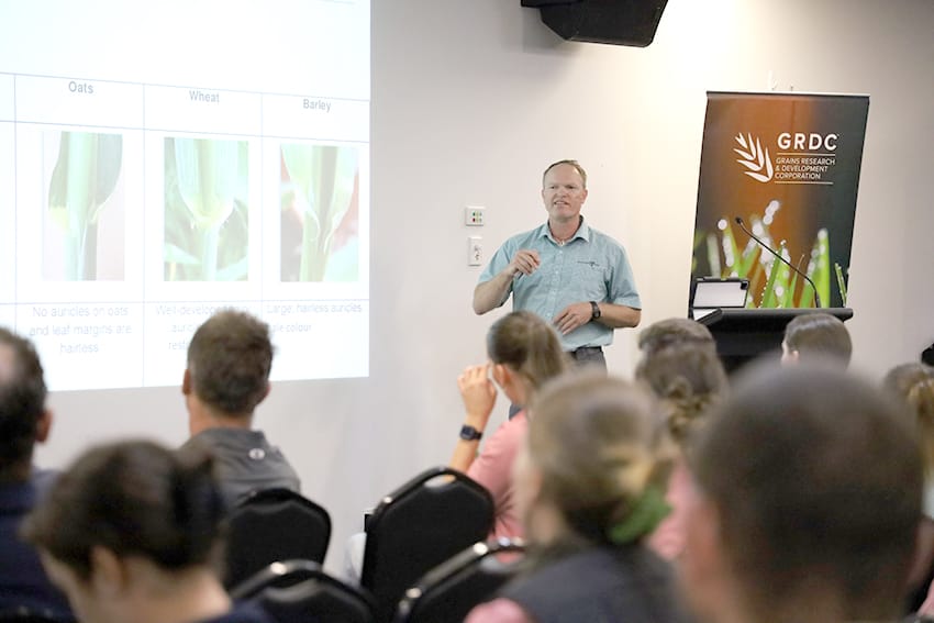 Grain Research Updates Coming to Buloke