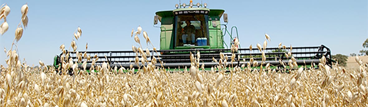 Glyphosate Not Registered as a Desiccant on Oats