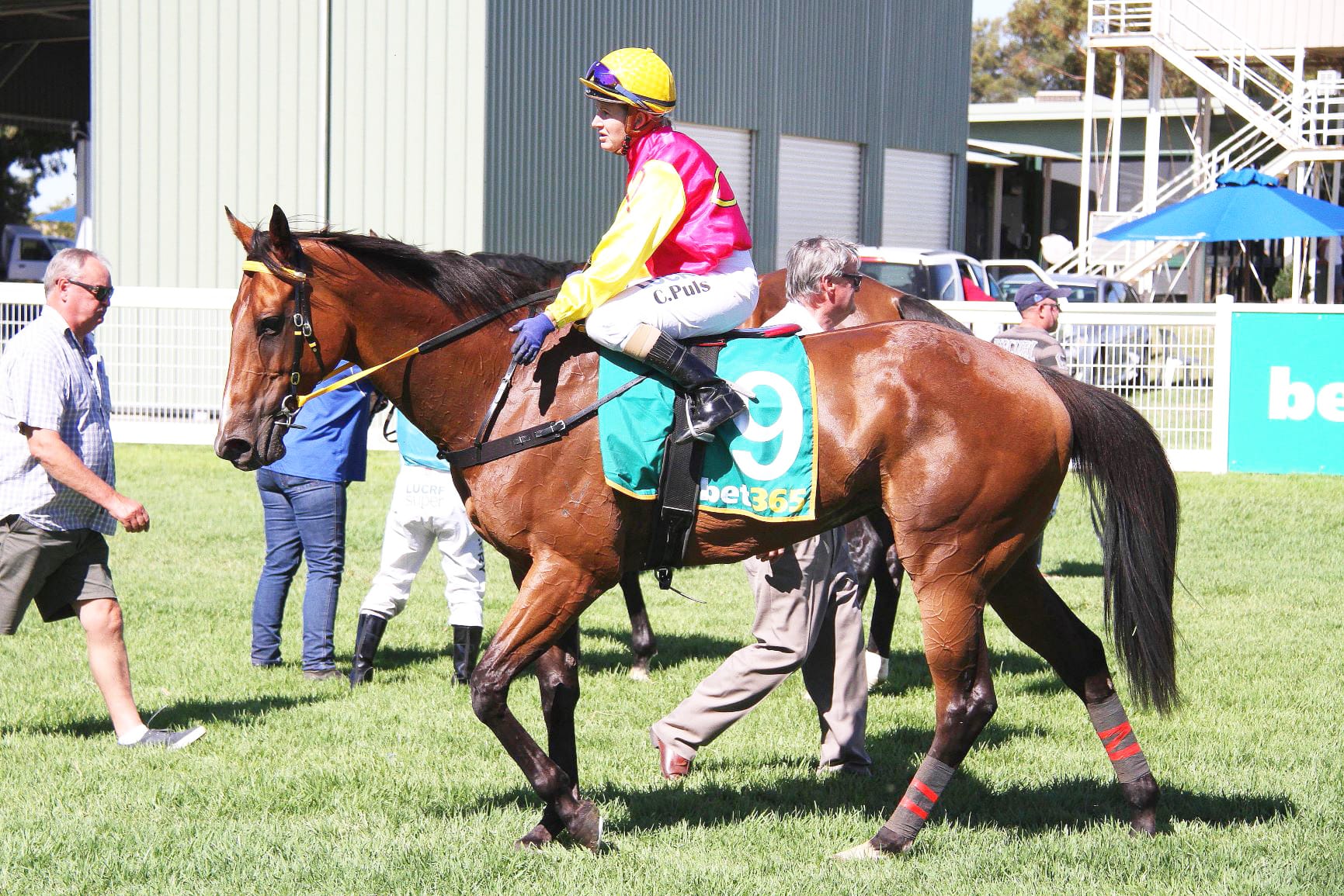 Beyond the Finish Post