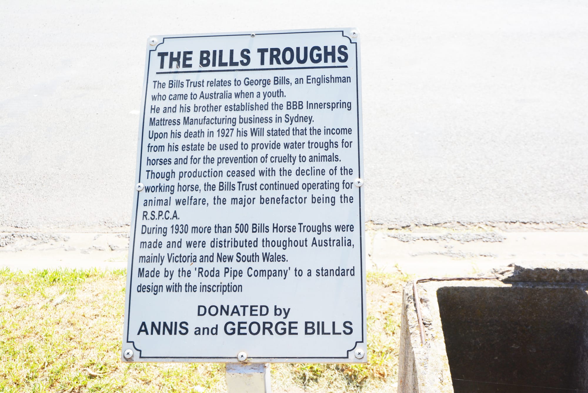 A short history of the Bills trough at Donald.