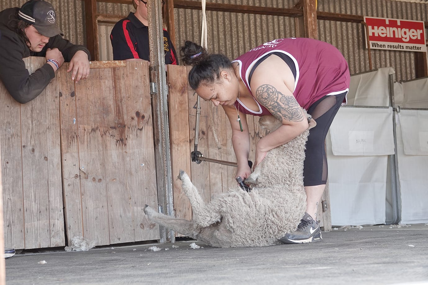 Mak Dillon in the ladies shearing event. –Photo Jodie Drake.