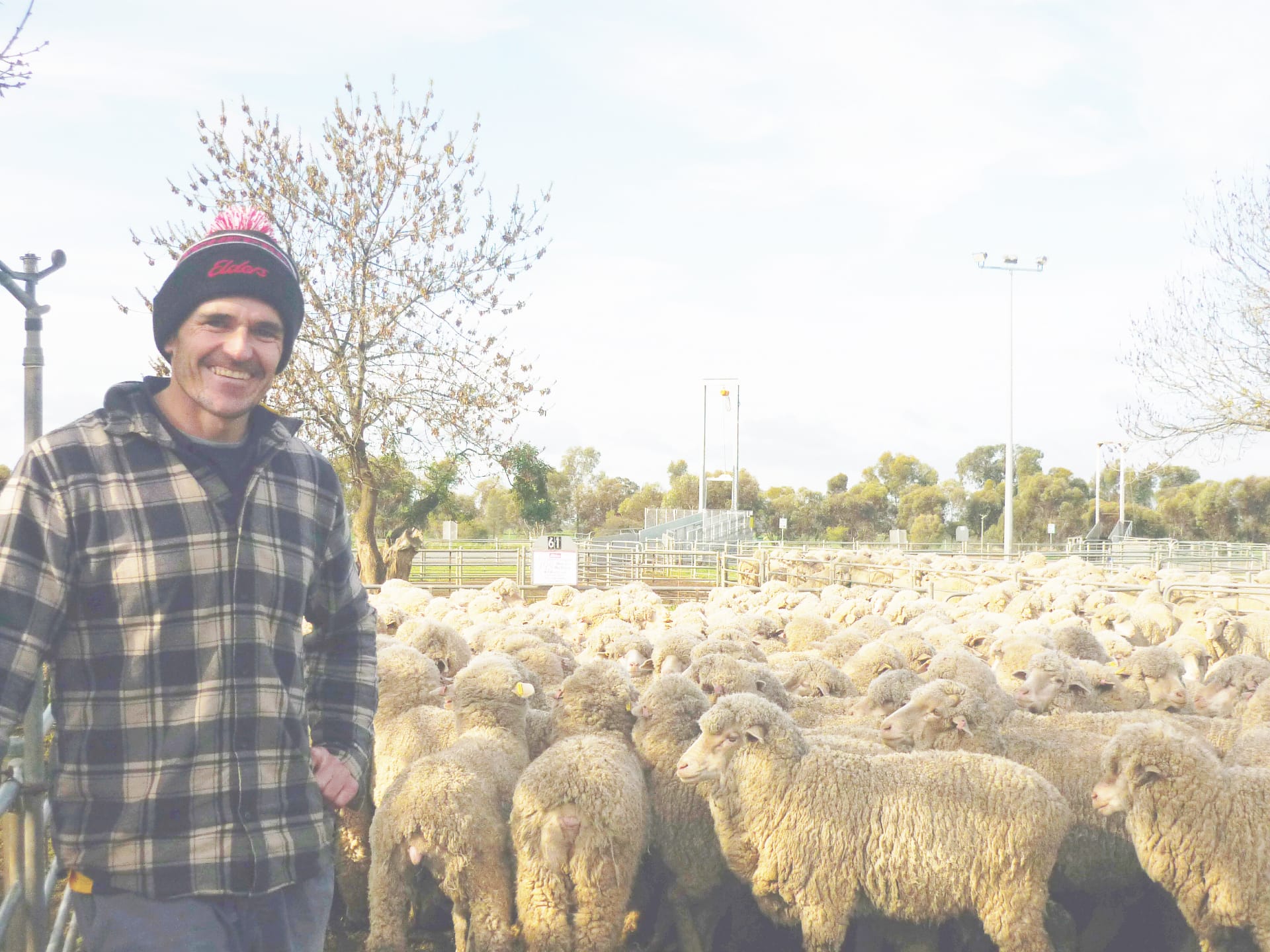 Positive Outlook Drives Wycheproof Sale Prices