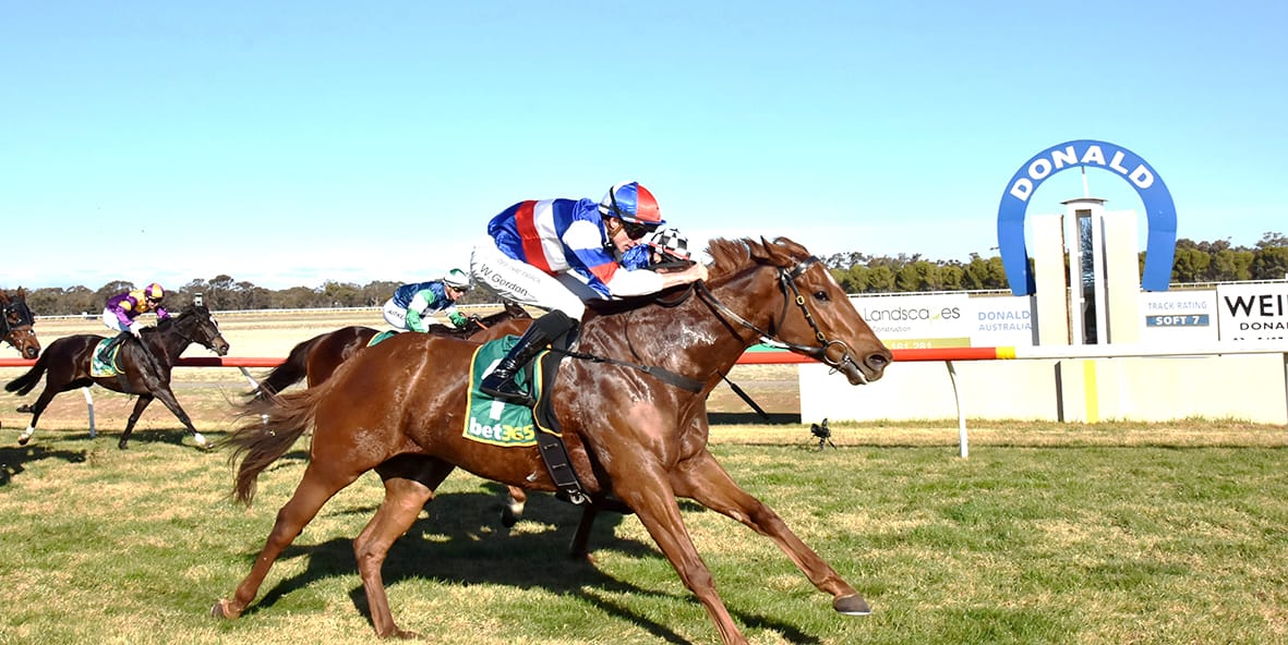 The finish of the Donald Motor Lodge handicap. Itwasonlyakiss, ridden by Will Gordon defeats Late Harvest and Moscow Red. The winner is trained by Patrick and Michelle Payne, who had an amazing five winners on the day between the metro. and Donald meetings; an exceptional day for the Payne family.