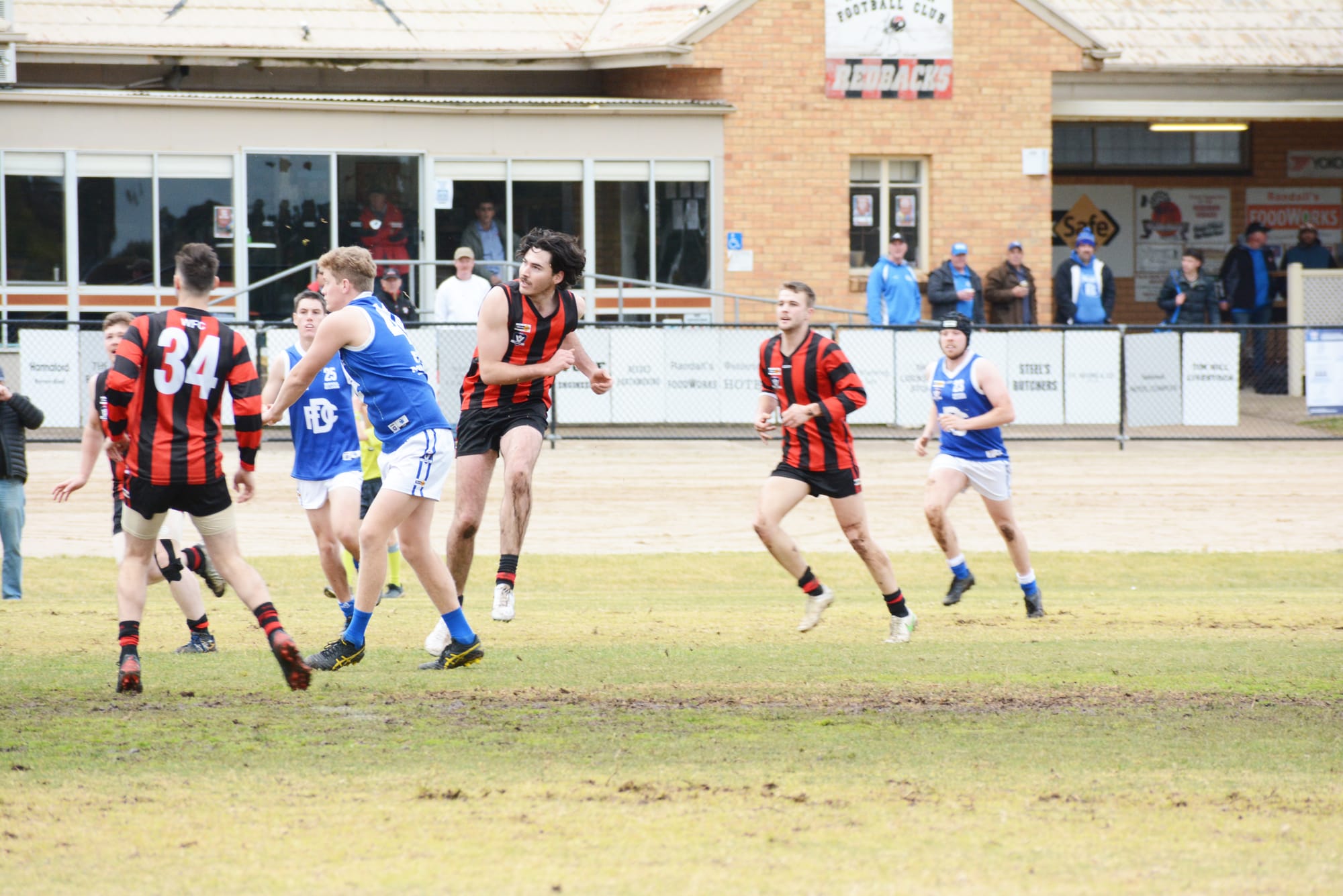 Royal Blues Equal to Redback Challenge