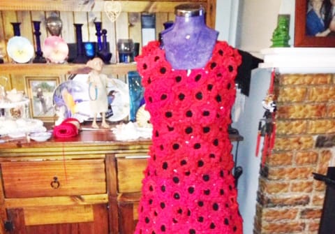 The Red Poppies Remembrance Story