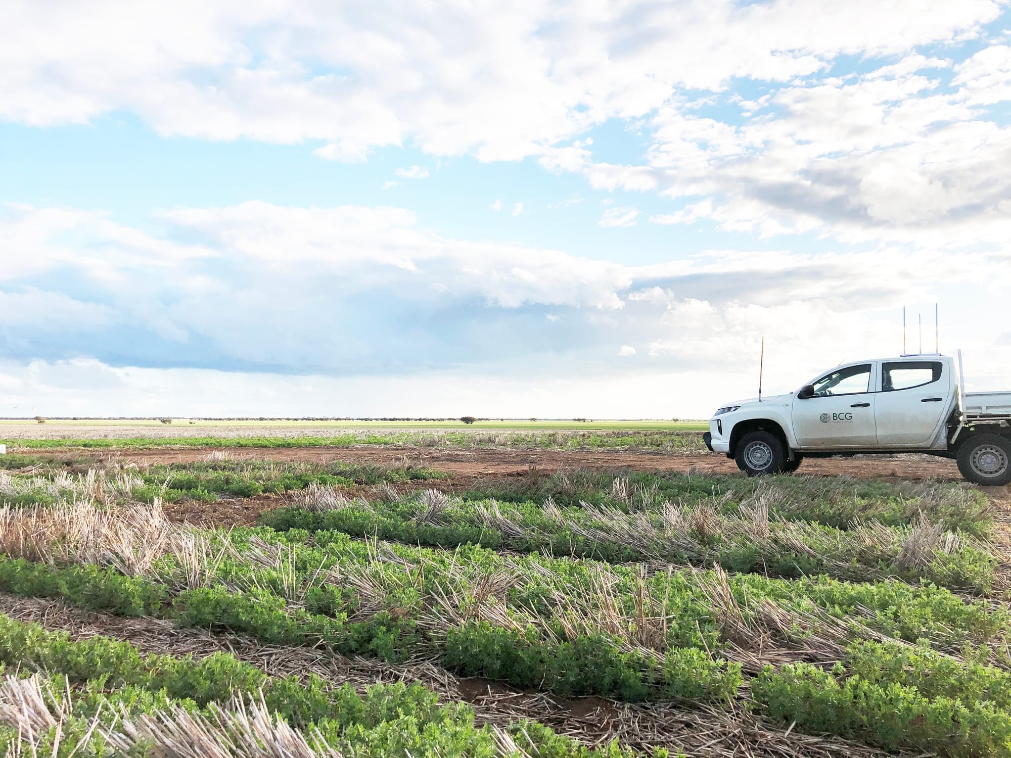 Latest Local Research at BCG Trials Review Day