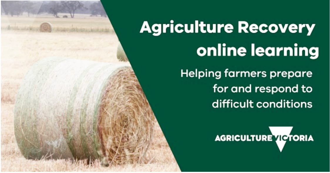 On-line Learning Helps On-farm Decision Making