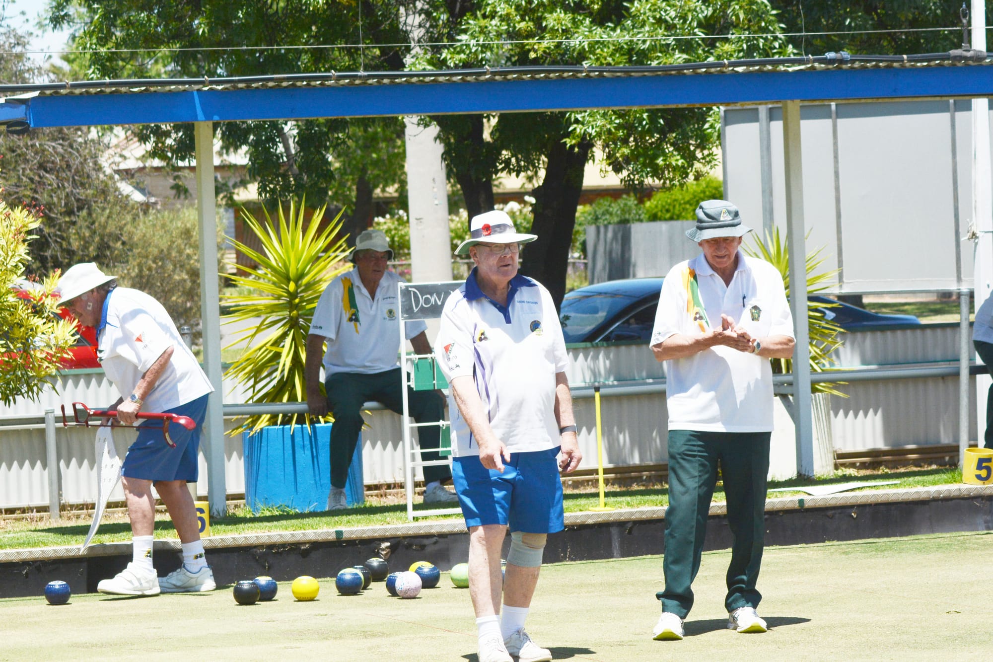 Donald Down in Both Divisions