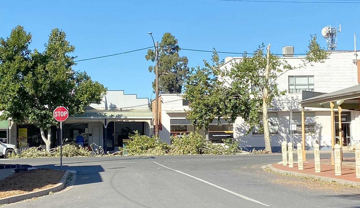 While tree debris had been pushed off the main highway, High Street still bore the scares of last Tuesday’s freak weather event. Again, by Friday, all this litter had been removed.
