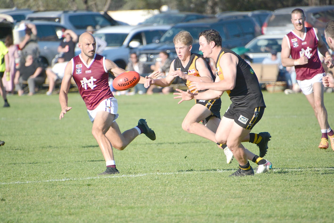 Fifty Years in the Making