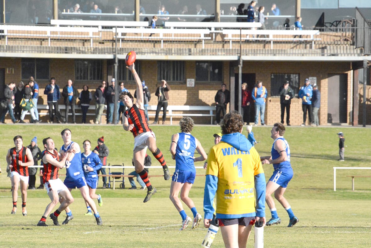 Two Donald Wins in a Row – Next Month So So Important