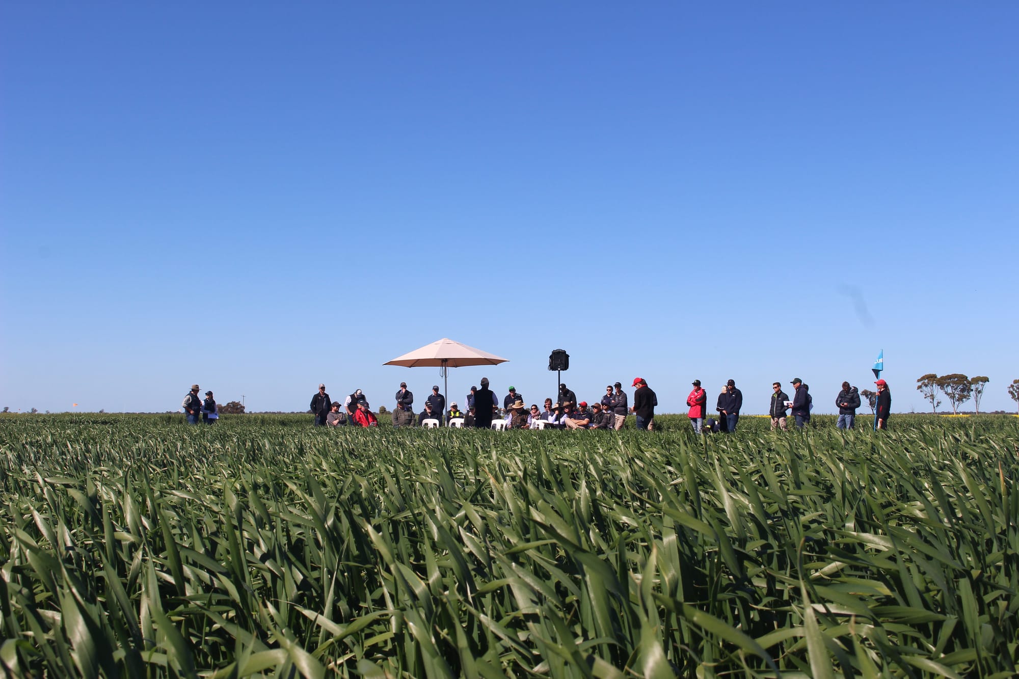 Friday, September 20, 2019