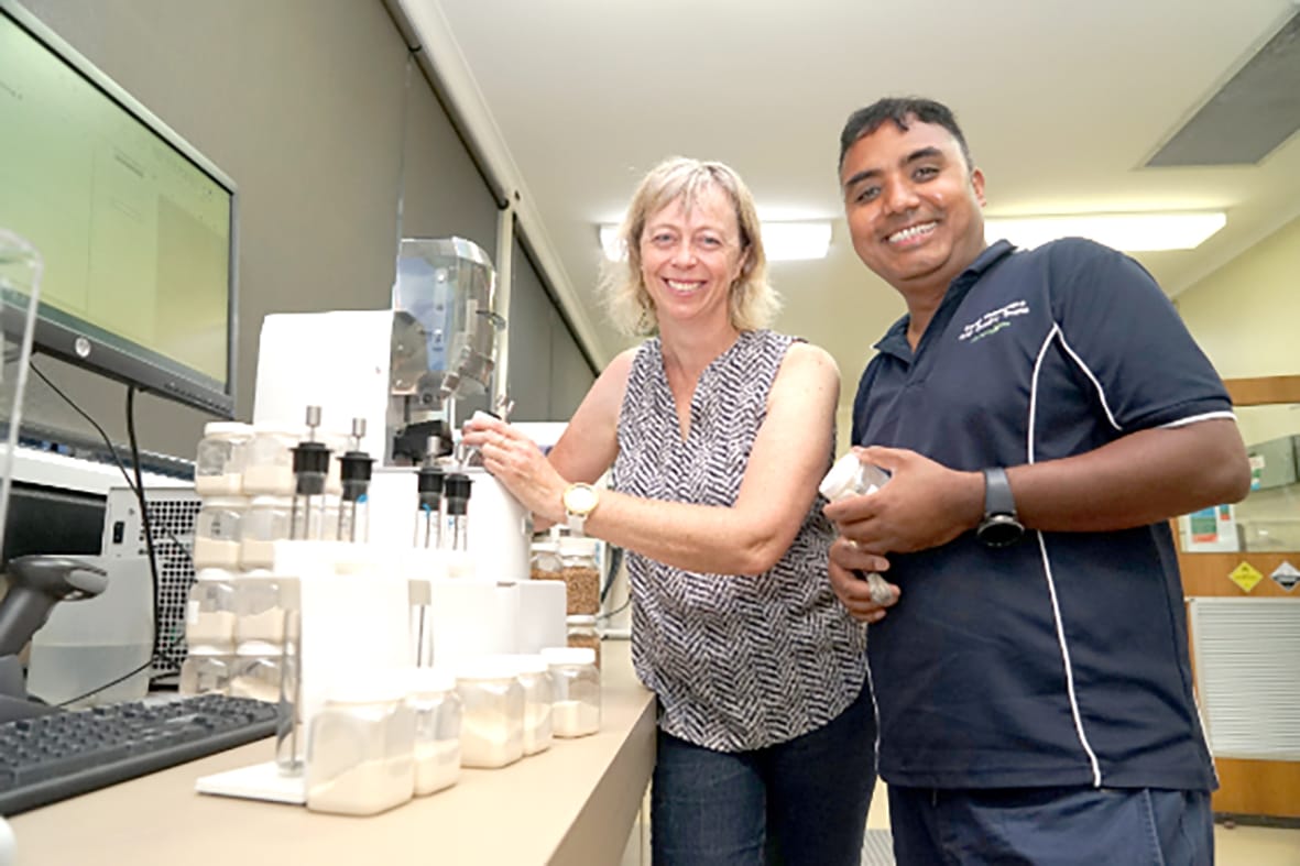 Research: Wheat Falling Number May Improve After Storage