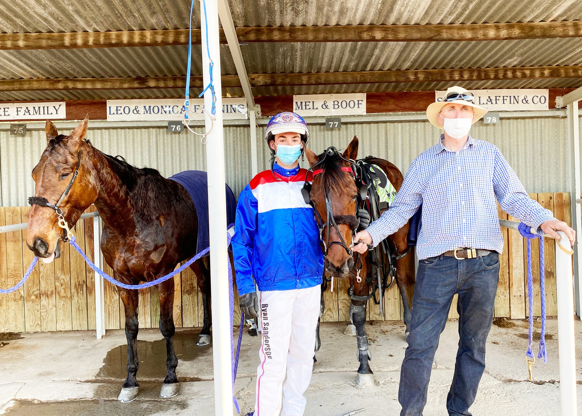 Barnaby – a Horse of Future Harness Racing