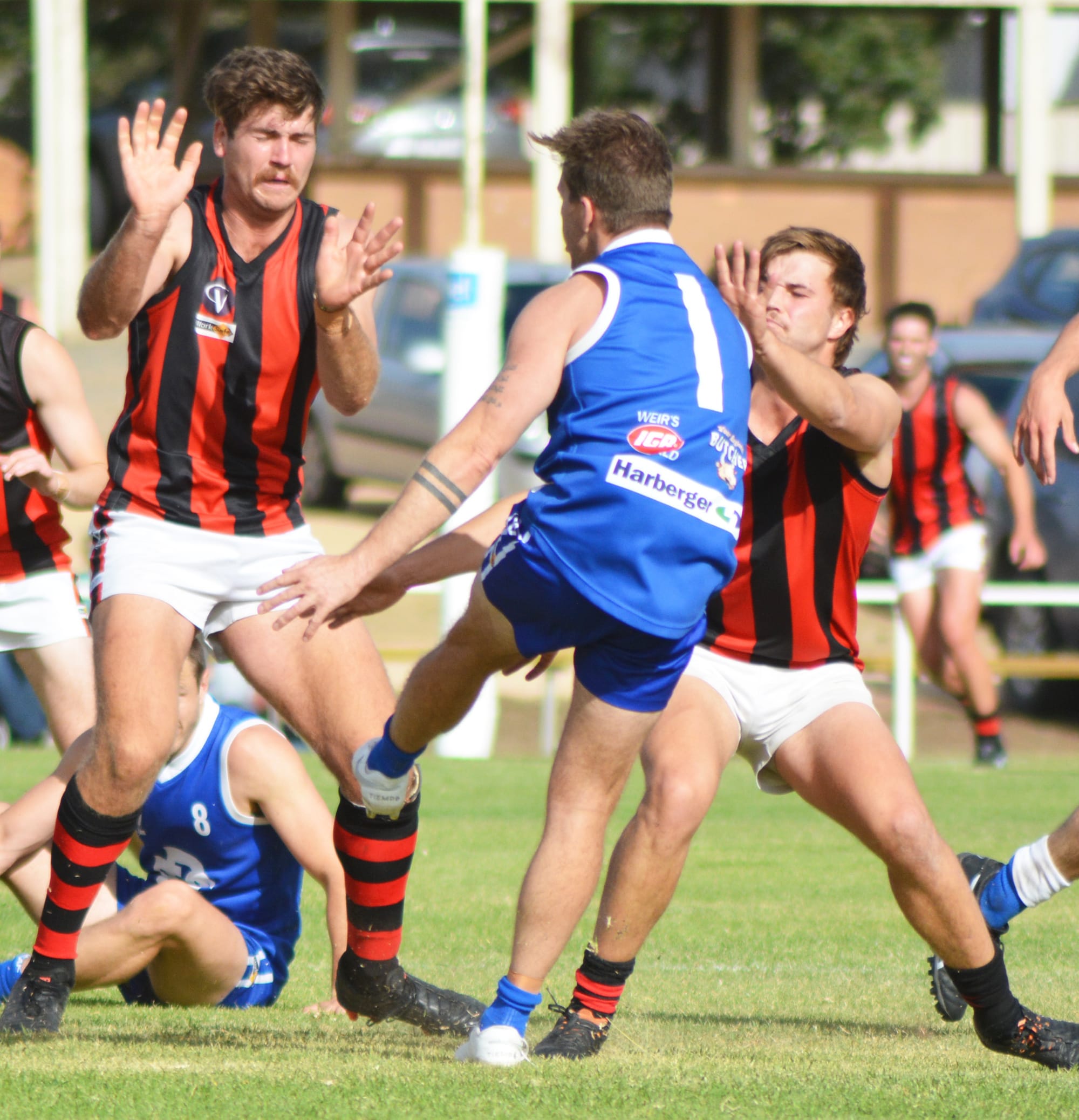 . . . and Donald Makes Four