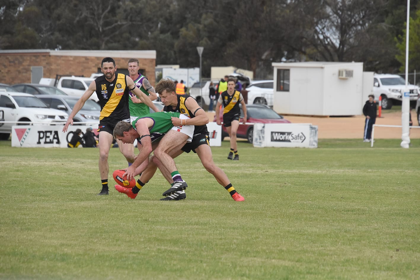 Brave Bulls Hold Out Surging Tigers