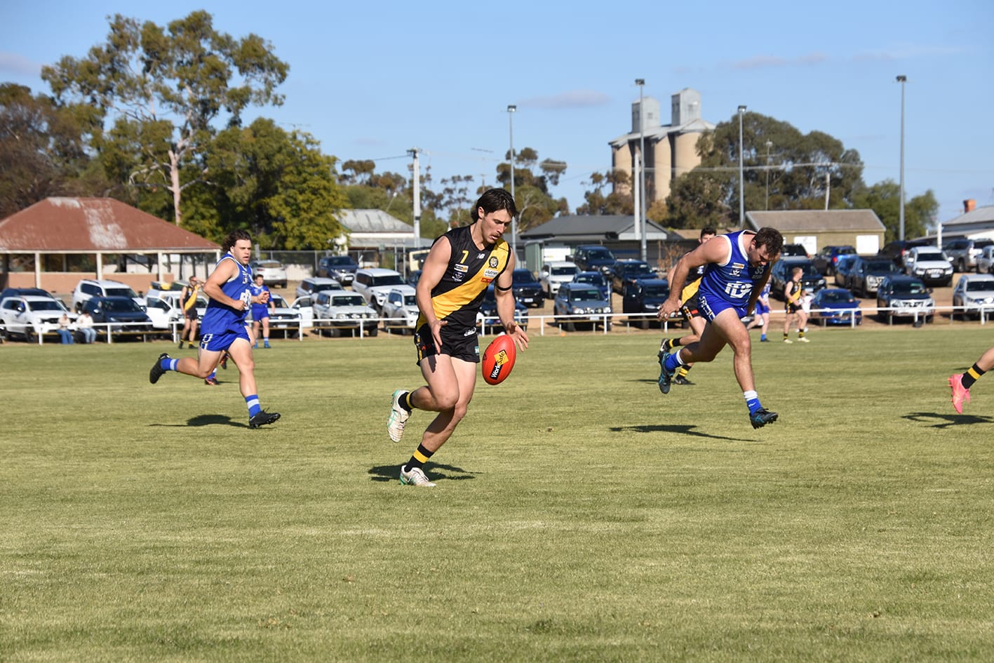 Tigers Top League Votes