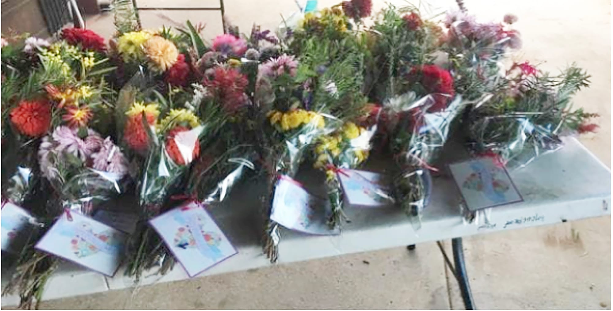 Surprise for Mums at Home Alone