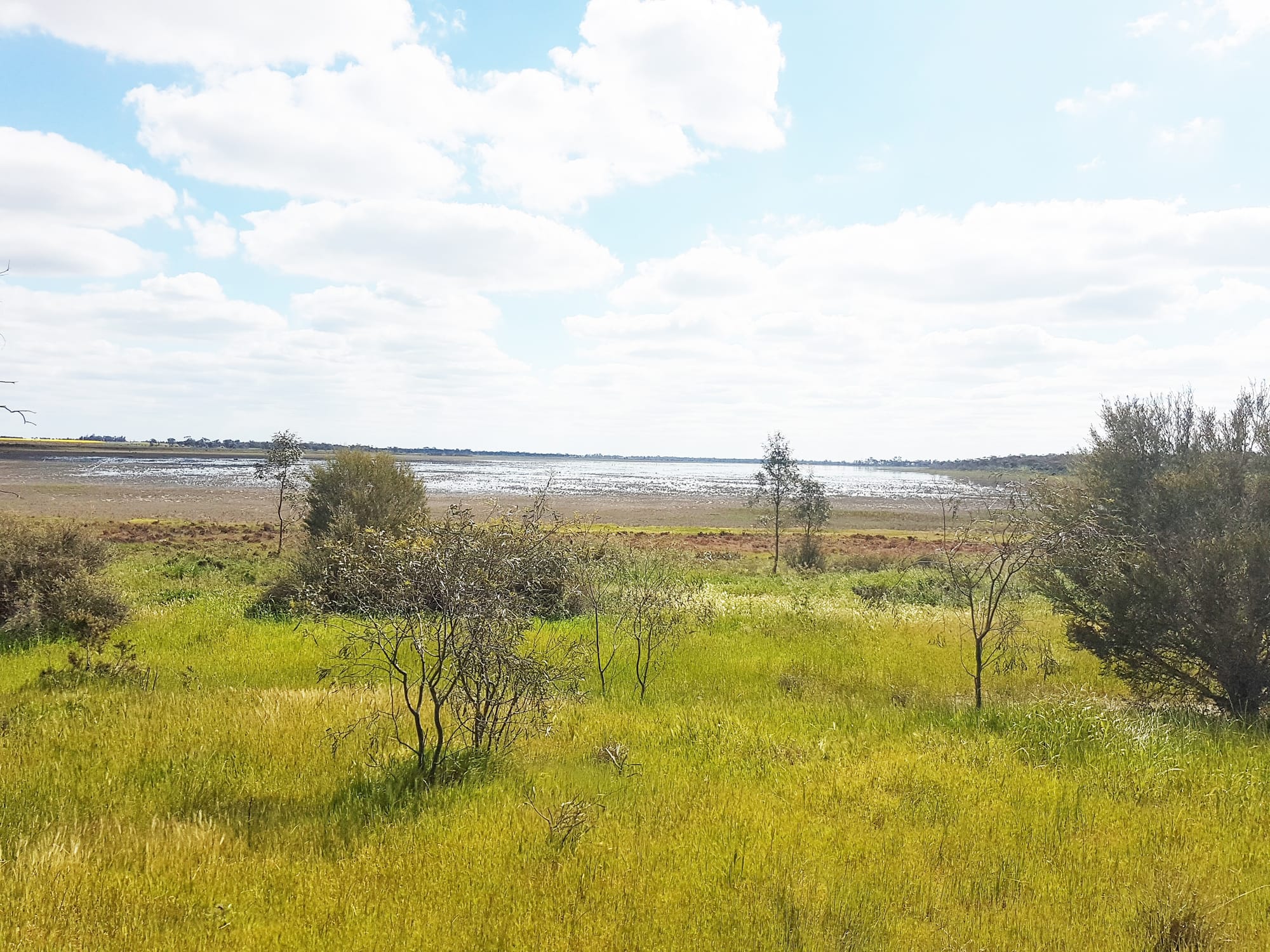 Little Lake Gets A Little Love