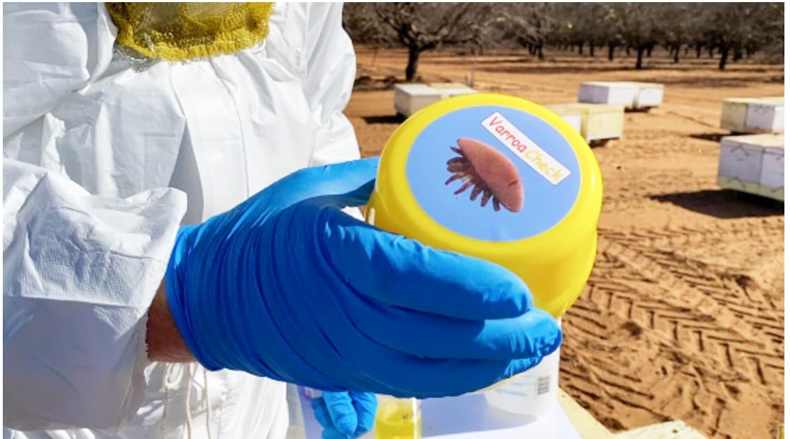 Varroa Mite Information . . . The Alcohol Wash