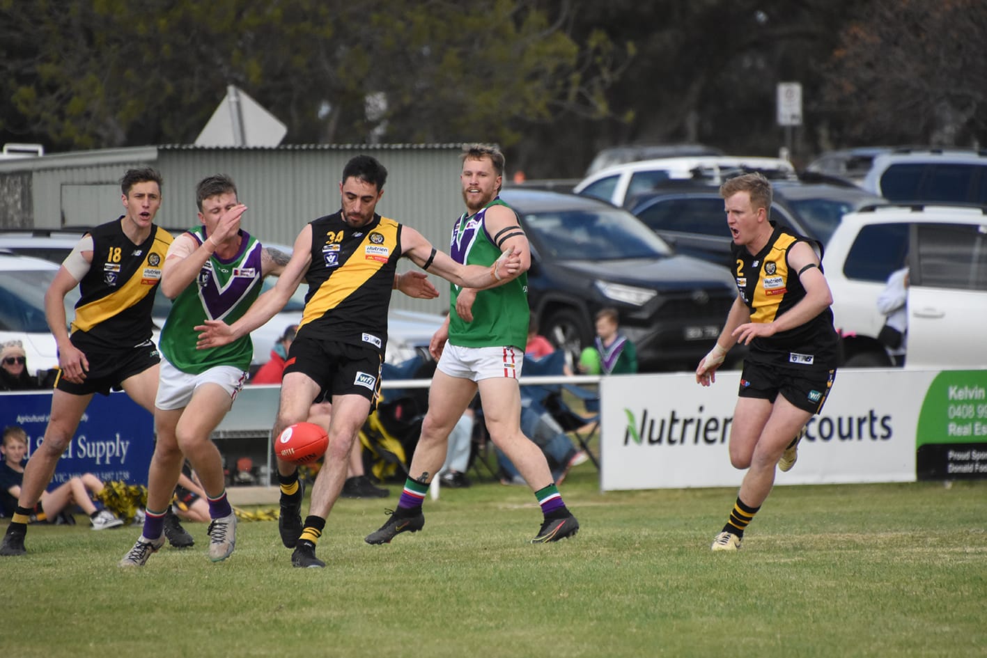 Can Tigers Corral Bulls’ Charge?