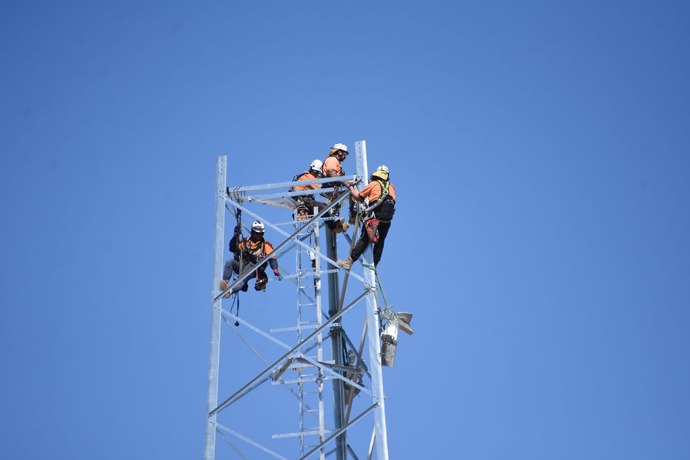 Sky-High Scaffolding