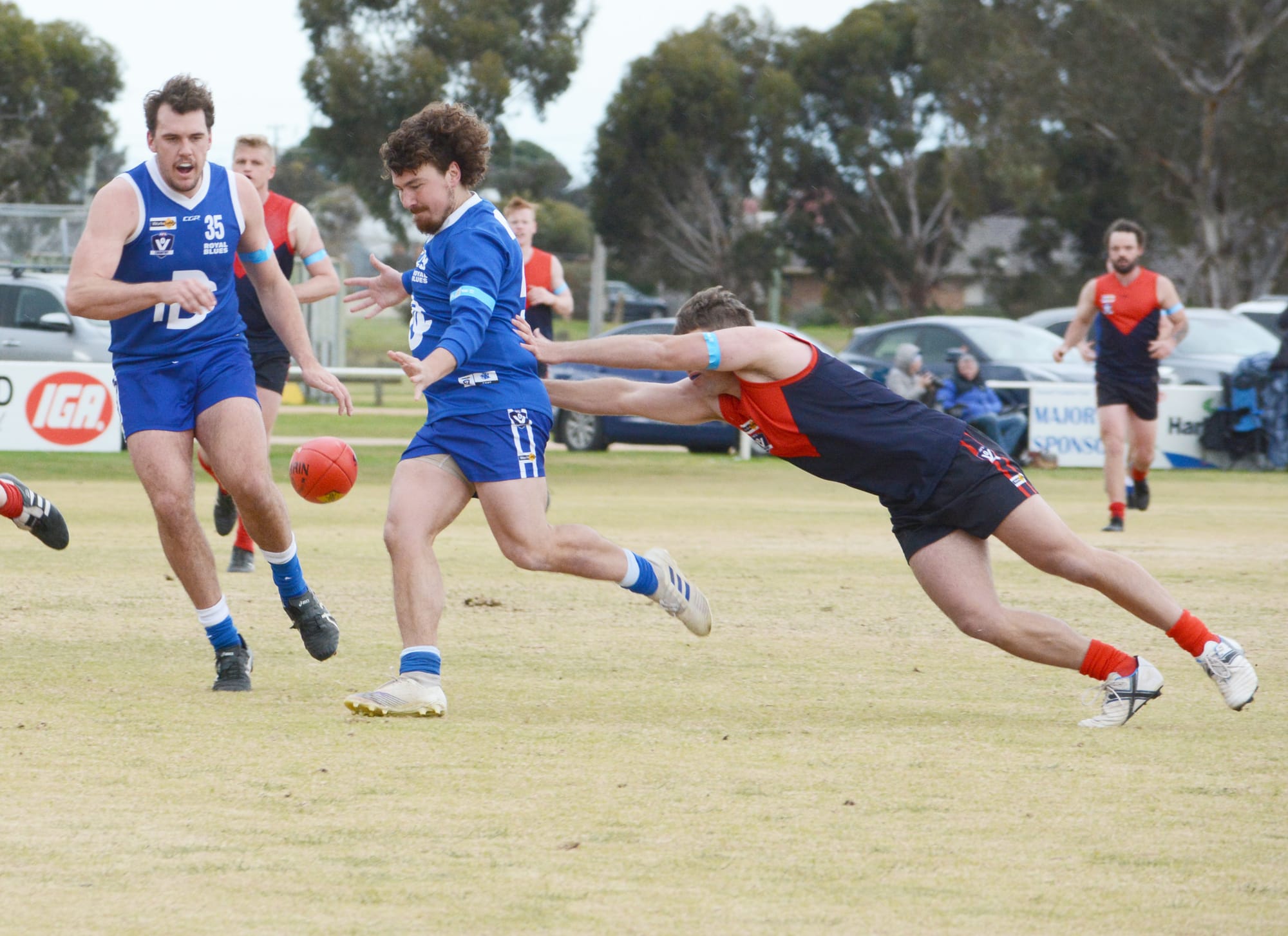 Depleted Demons No Match for Royal Blues