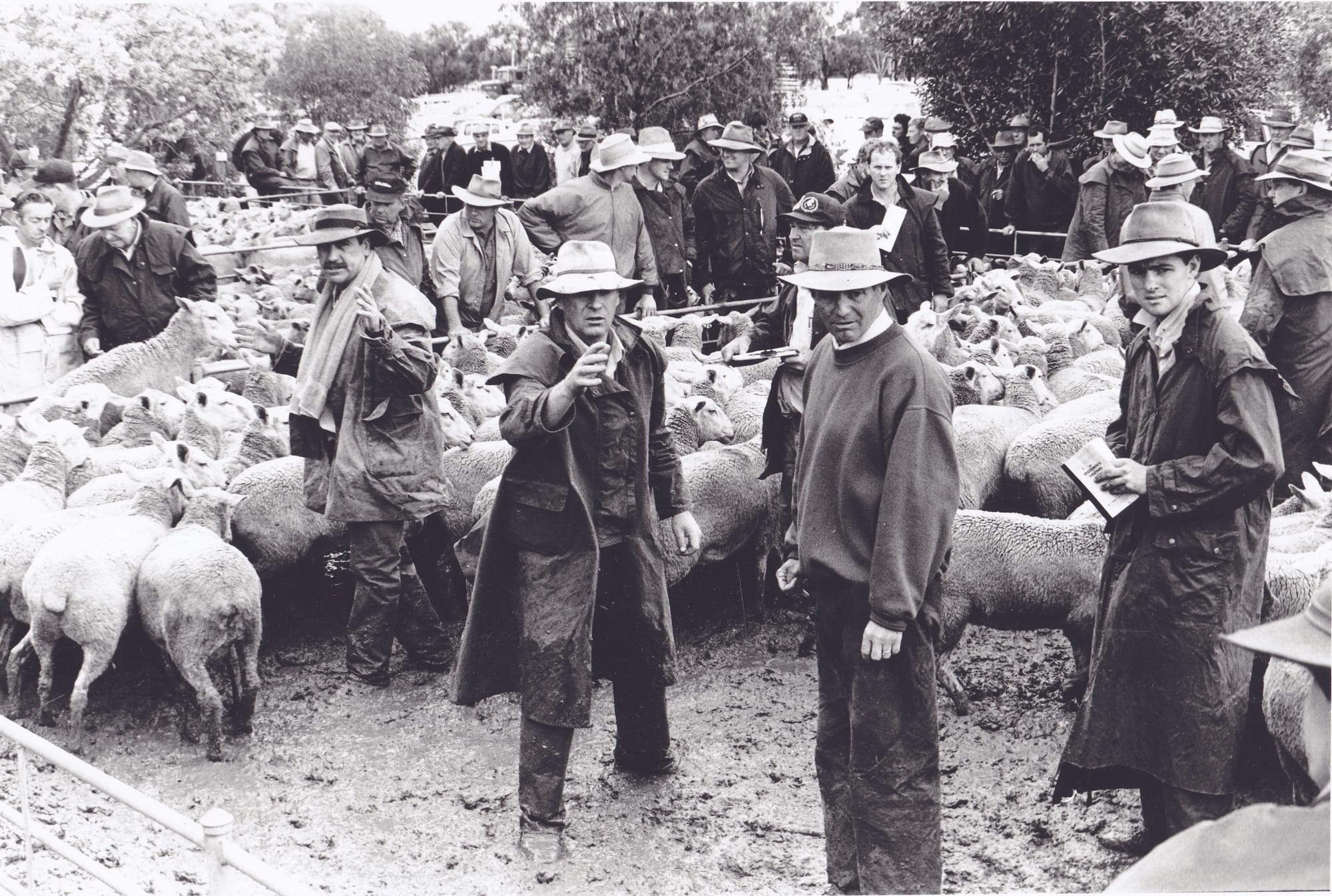 And It Wasn’t Even Winter!