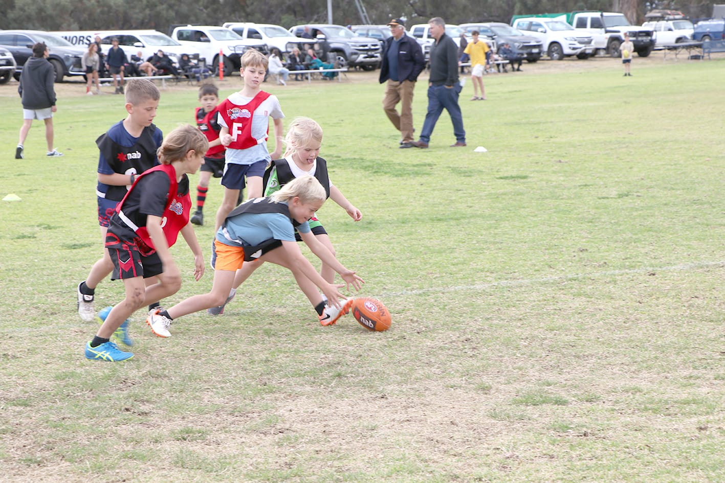 Juniors Share the Honours