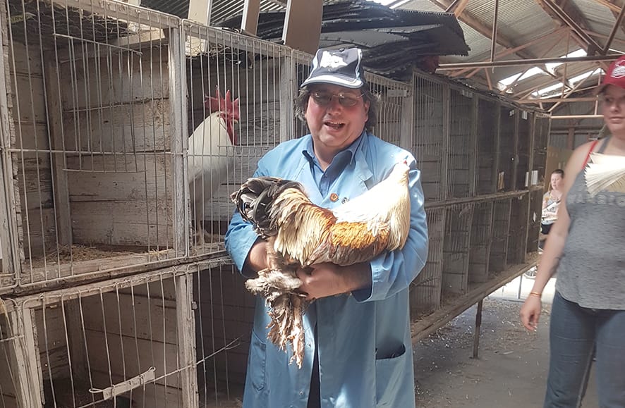 All the Fun of the Fair!