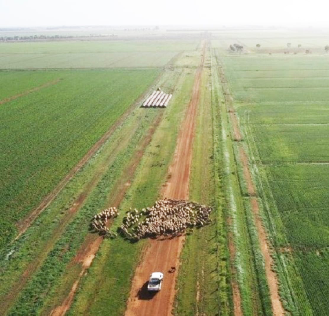 Information Day at Ballarat Tomorrow