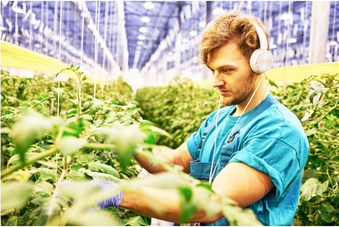 Podcast Listeners, Take Our Survey!