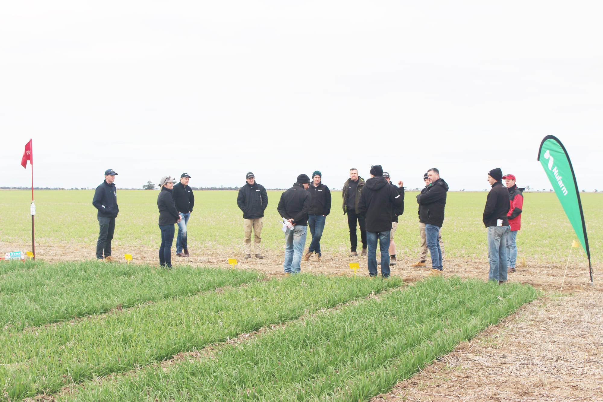 Register for BCG Industry Day, July 28