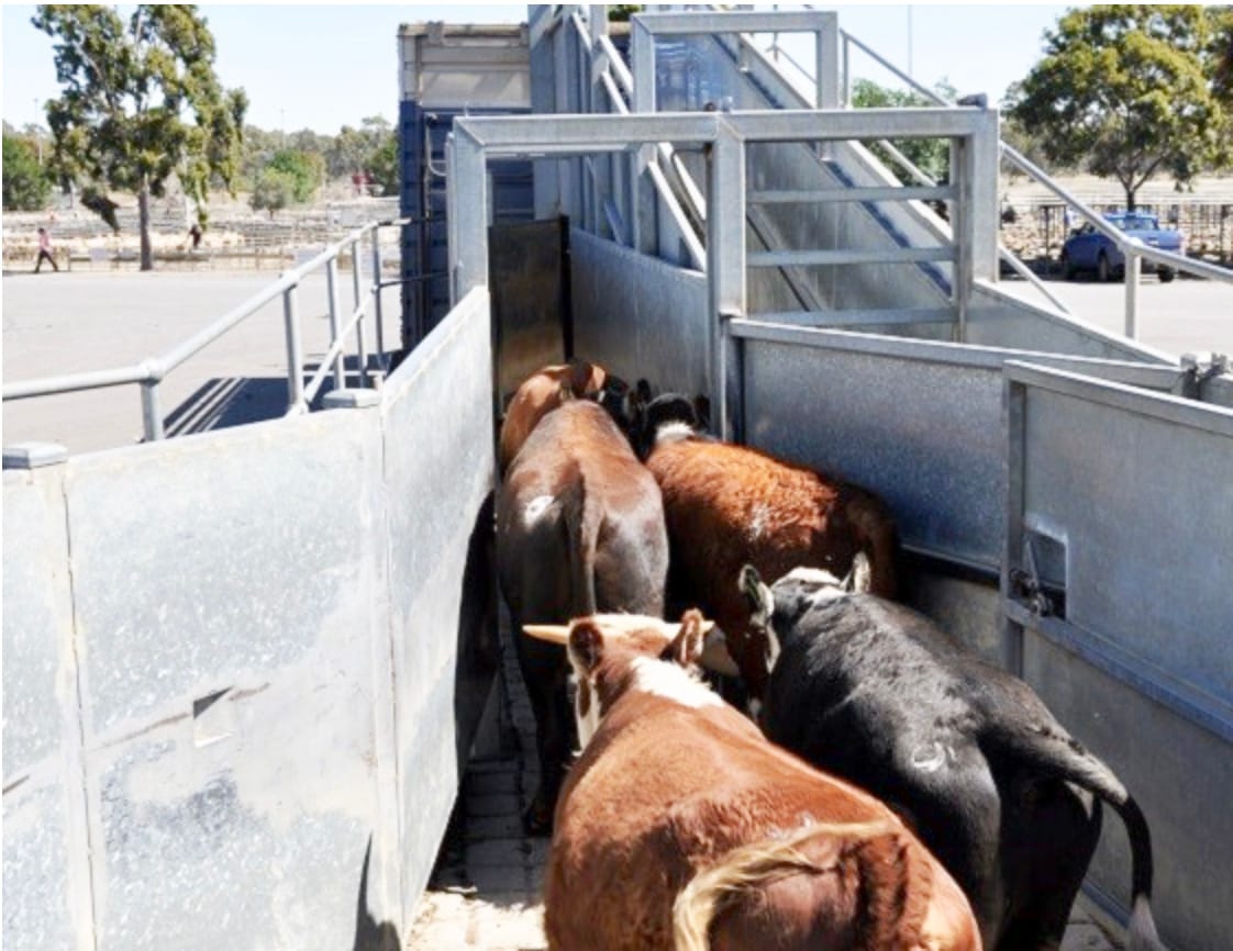 Guilty Plea for Misleading Information on NVD Forms