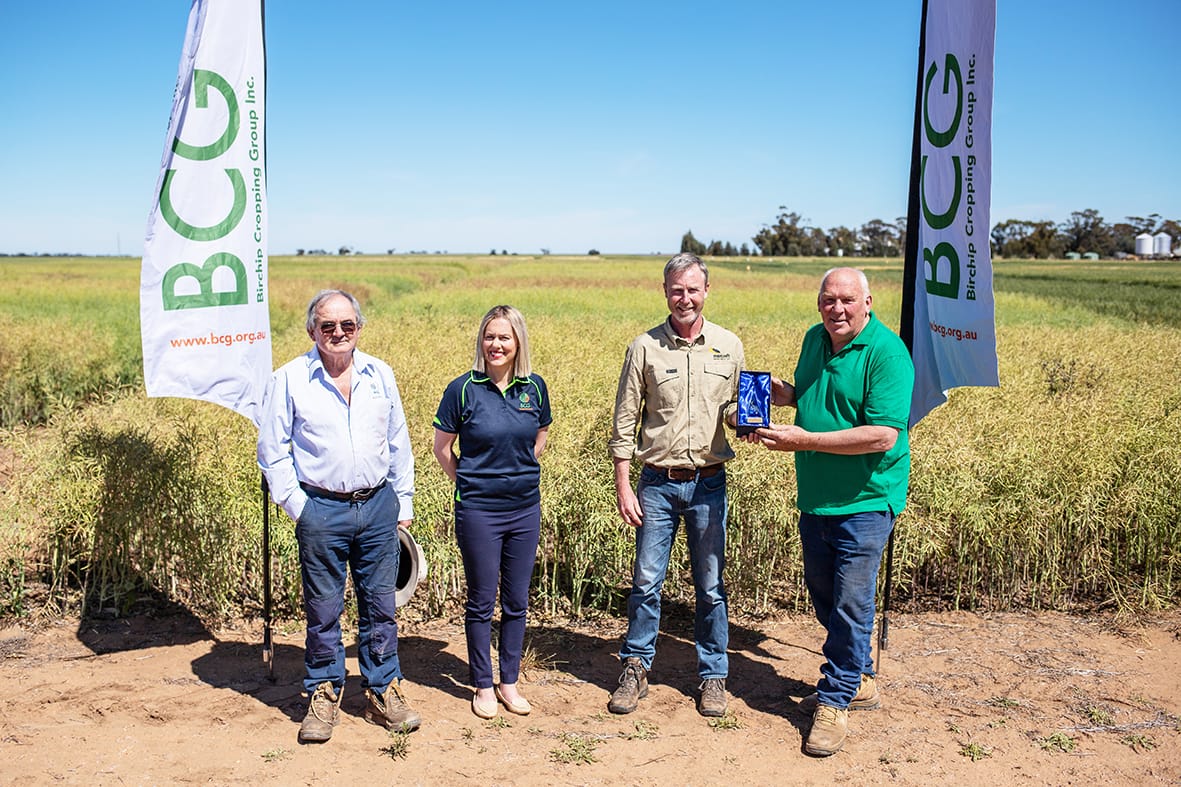 BCG Milestone Approaches