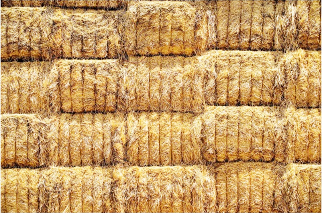 Hay Baling: Watch Moisture Levels