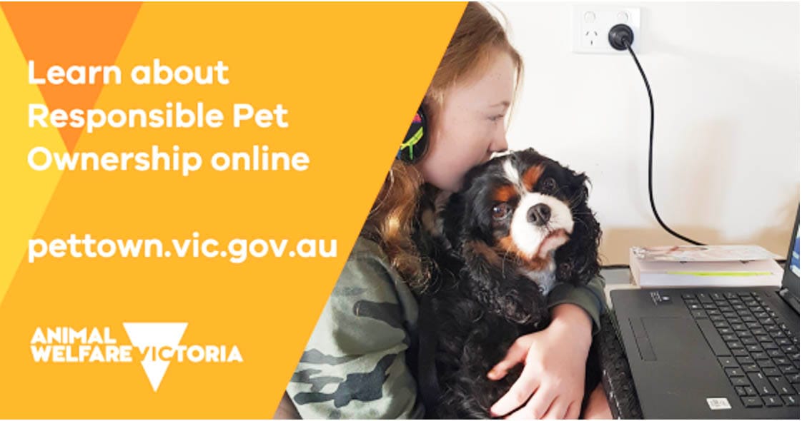 Pet Ownership Program Online
