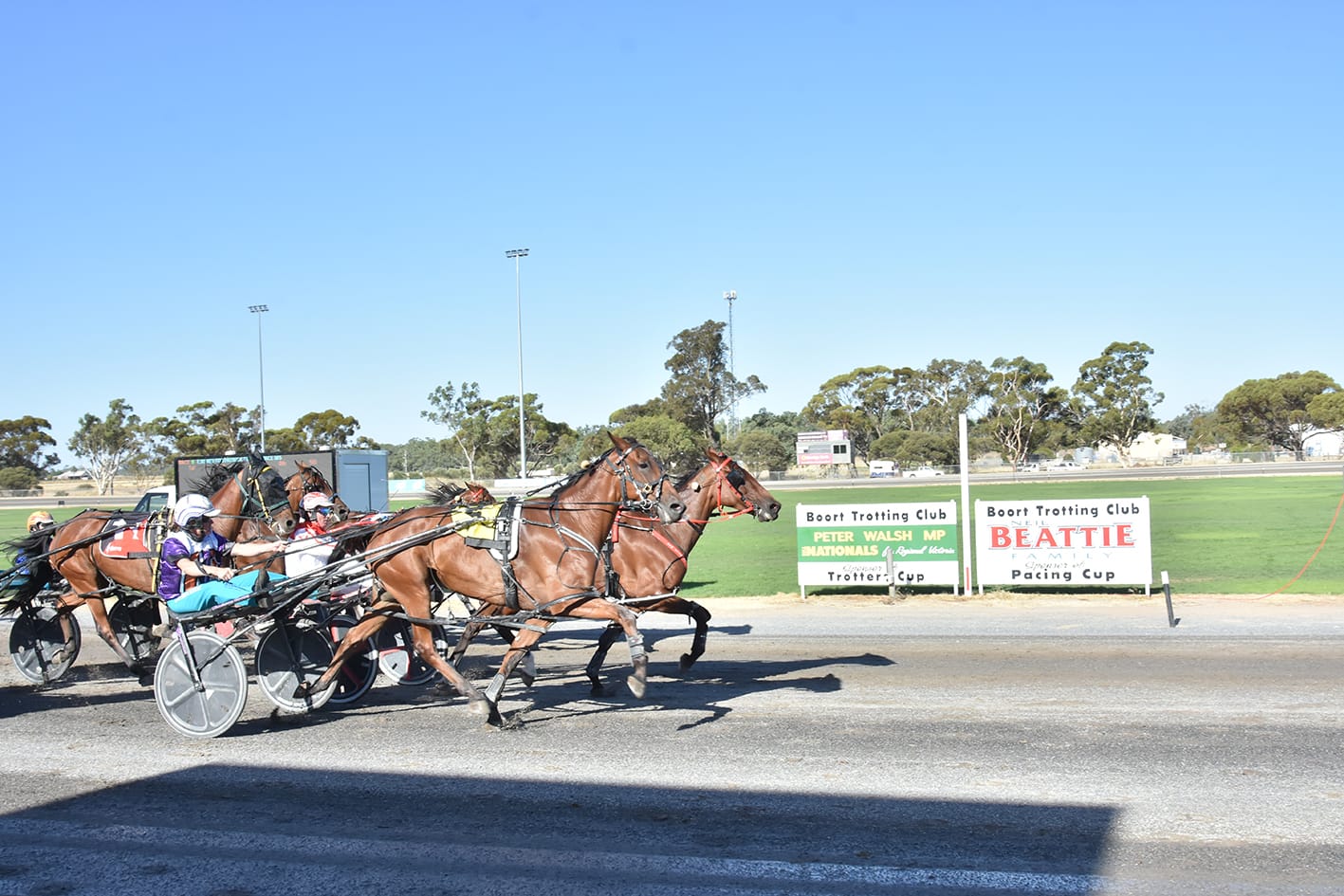 Early Start at Birchip Trots
