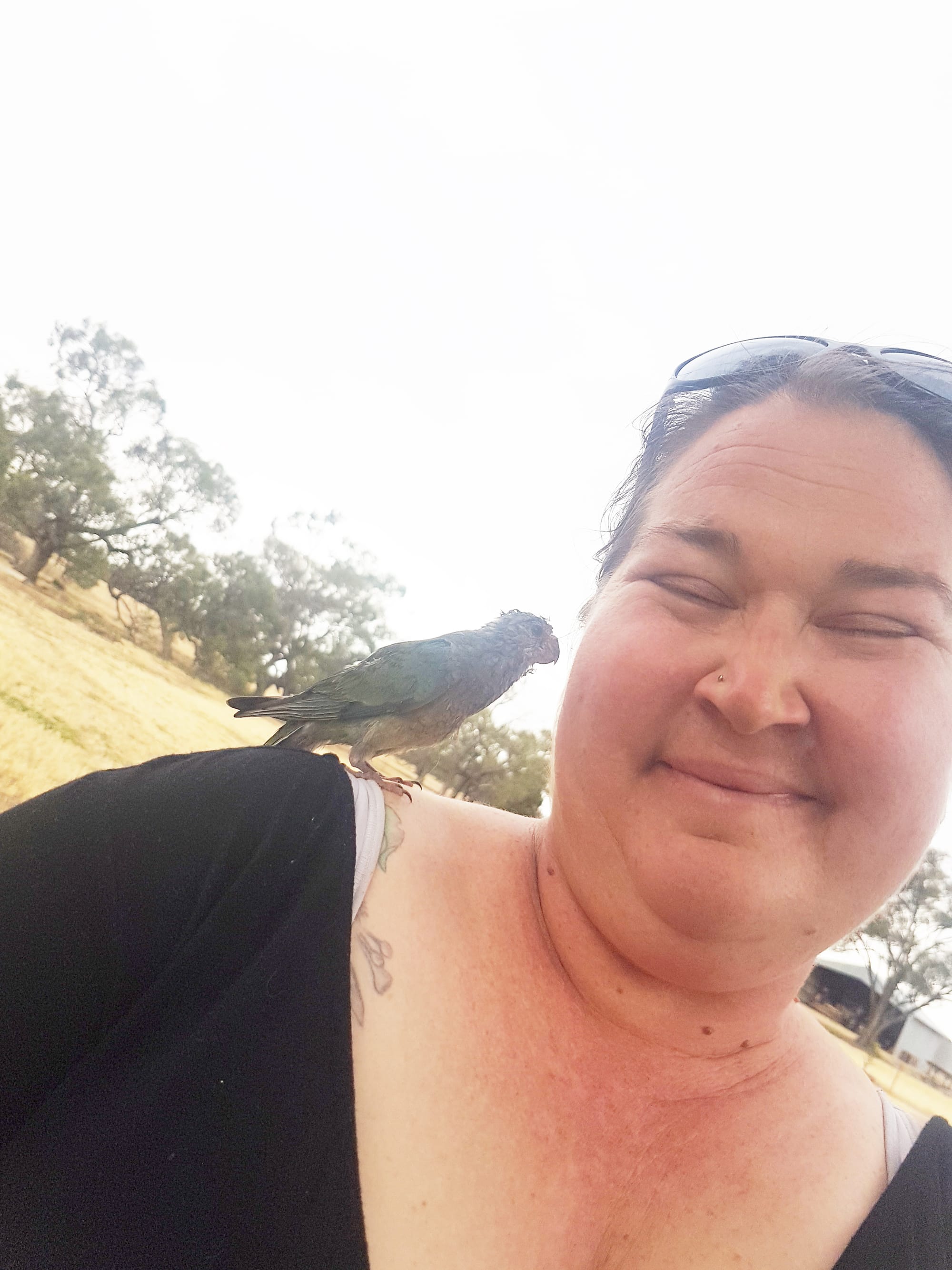 I think I said I’d explain the bird in another story, Clutch (pictured) and his sibling, Noisy, visited me for some time after their release.