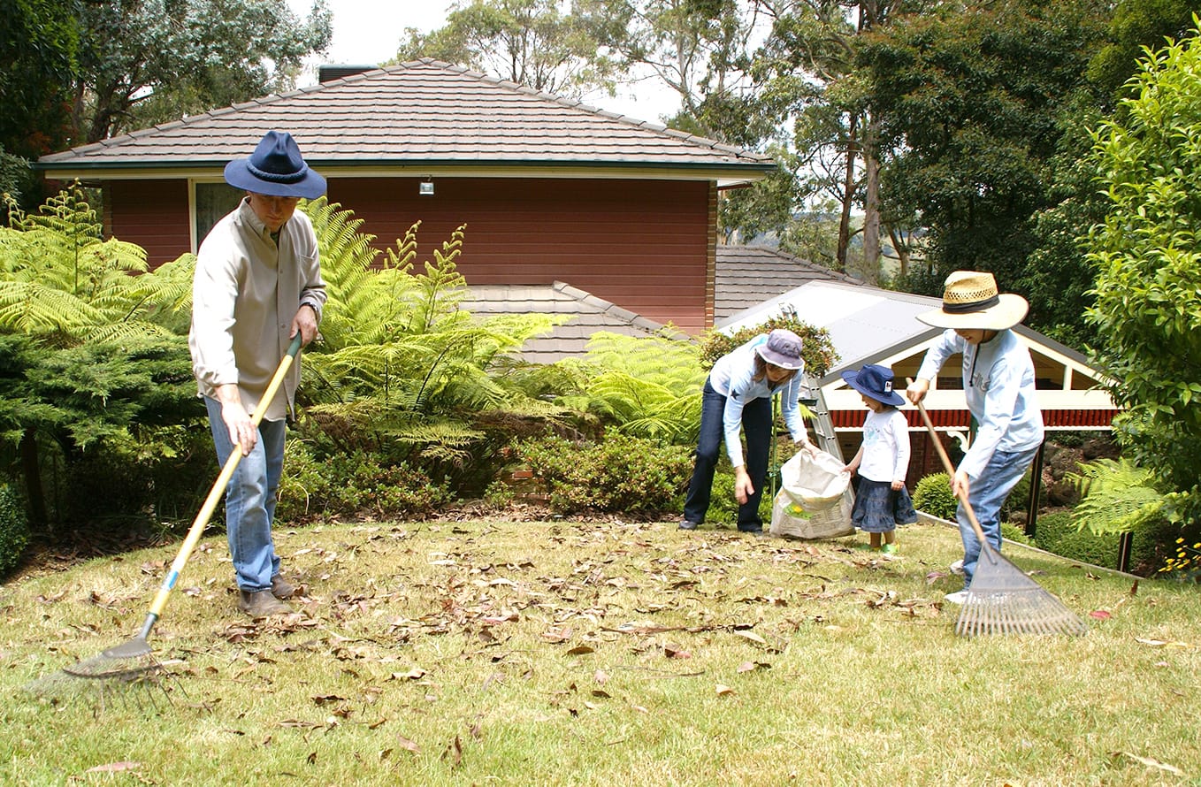 Tree Changers Urged to Get Fire Ready