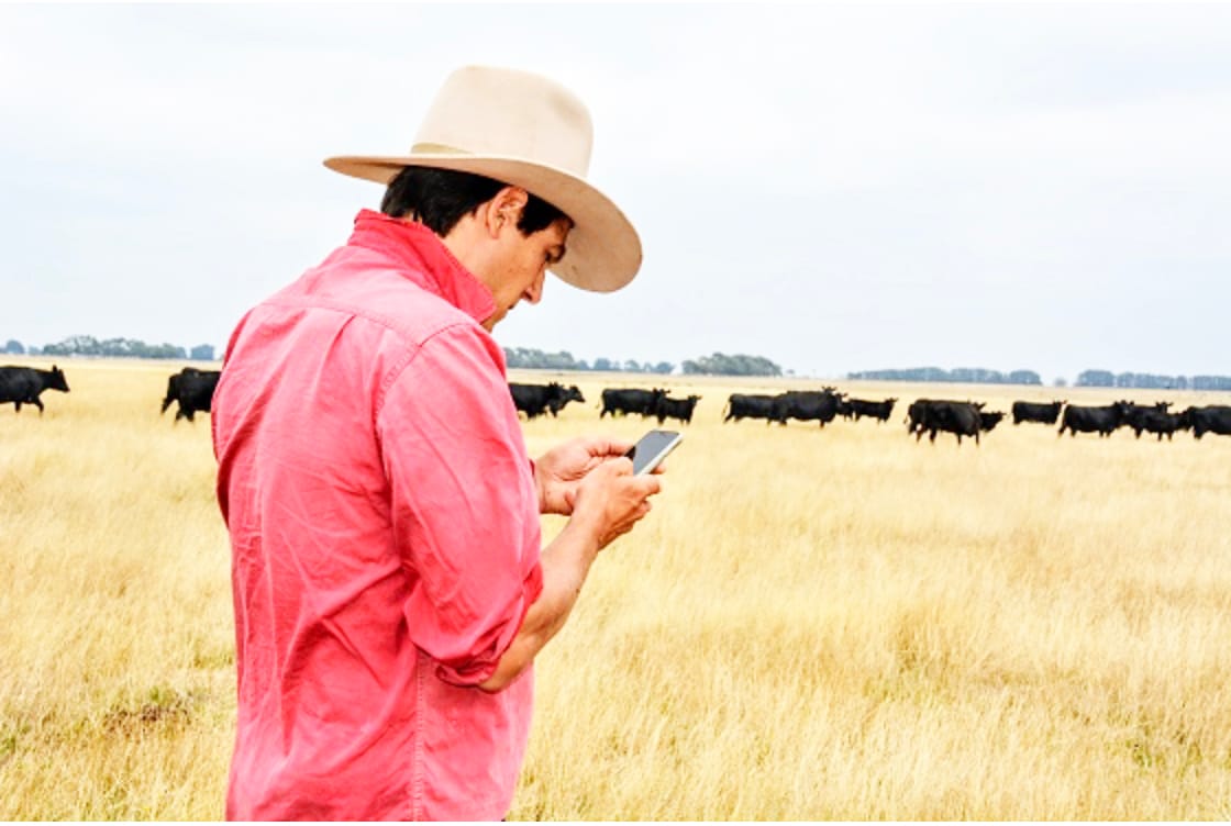 Express Finance Course Targets Young Farmers