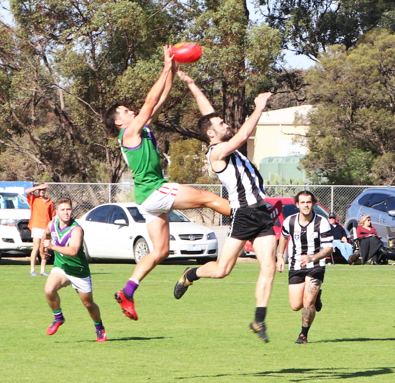 Bulls Swoop Over Improving Magpies